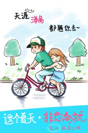 作假爱尔兰驾驶执照